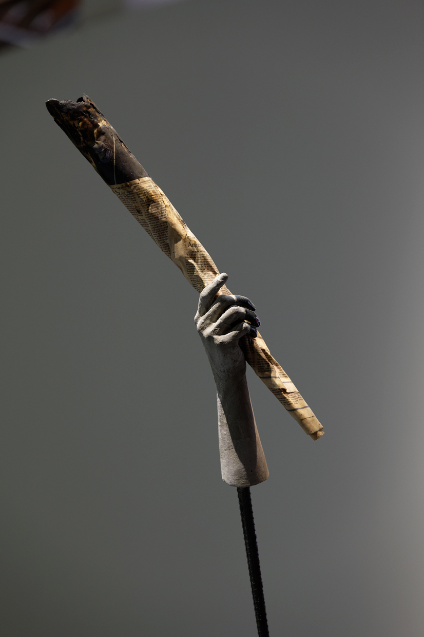 pdt-2020-anticorps-104