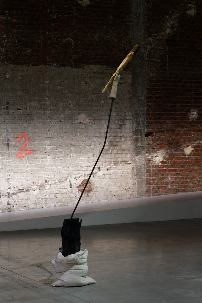 pdt-2020-anticorps-019