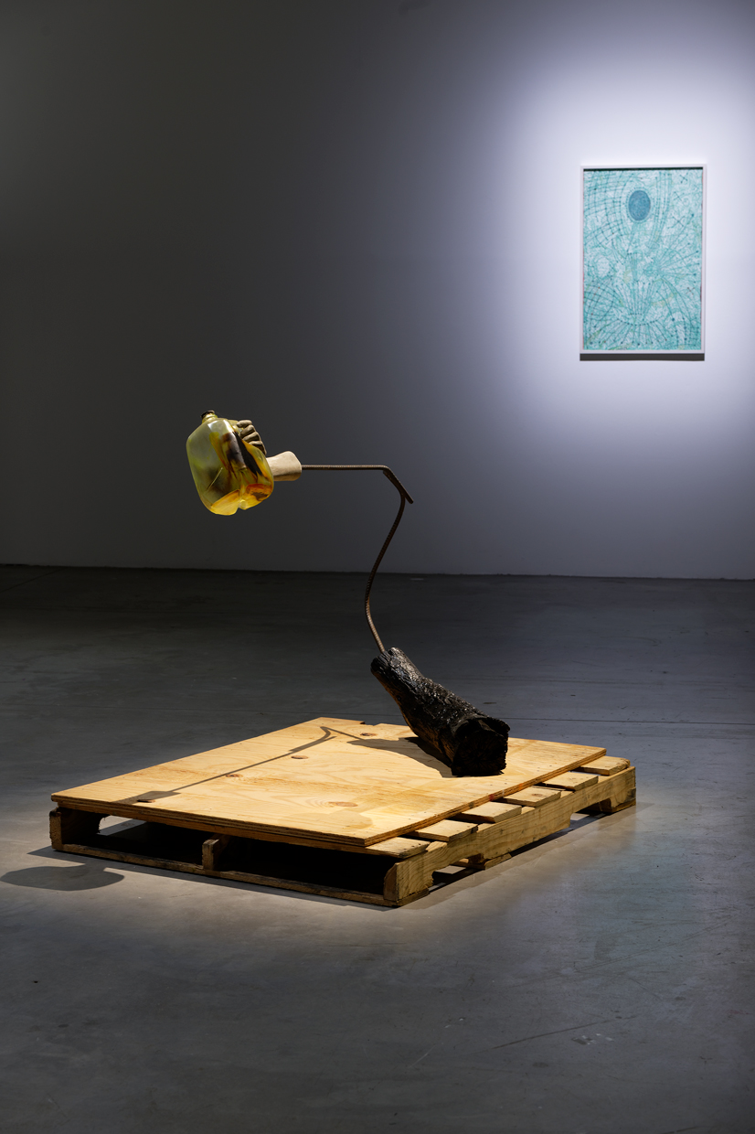 pdt-2020-anticorps-020