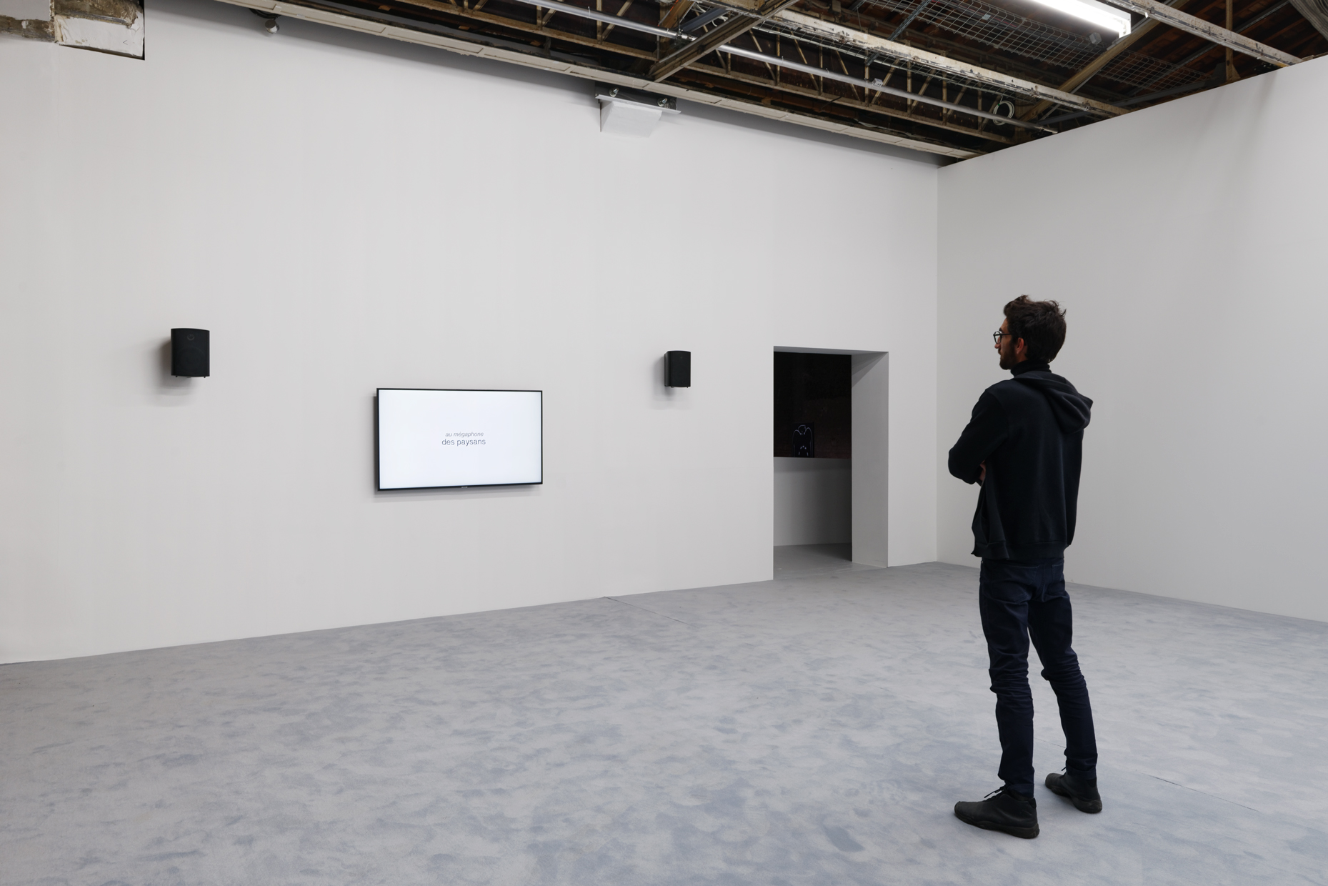 pdt-2020-anticorps-012