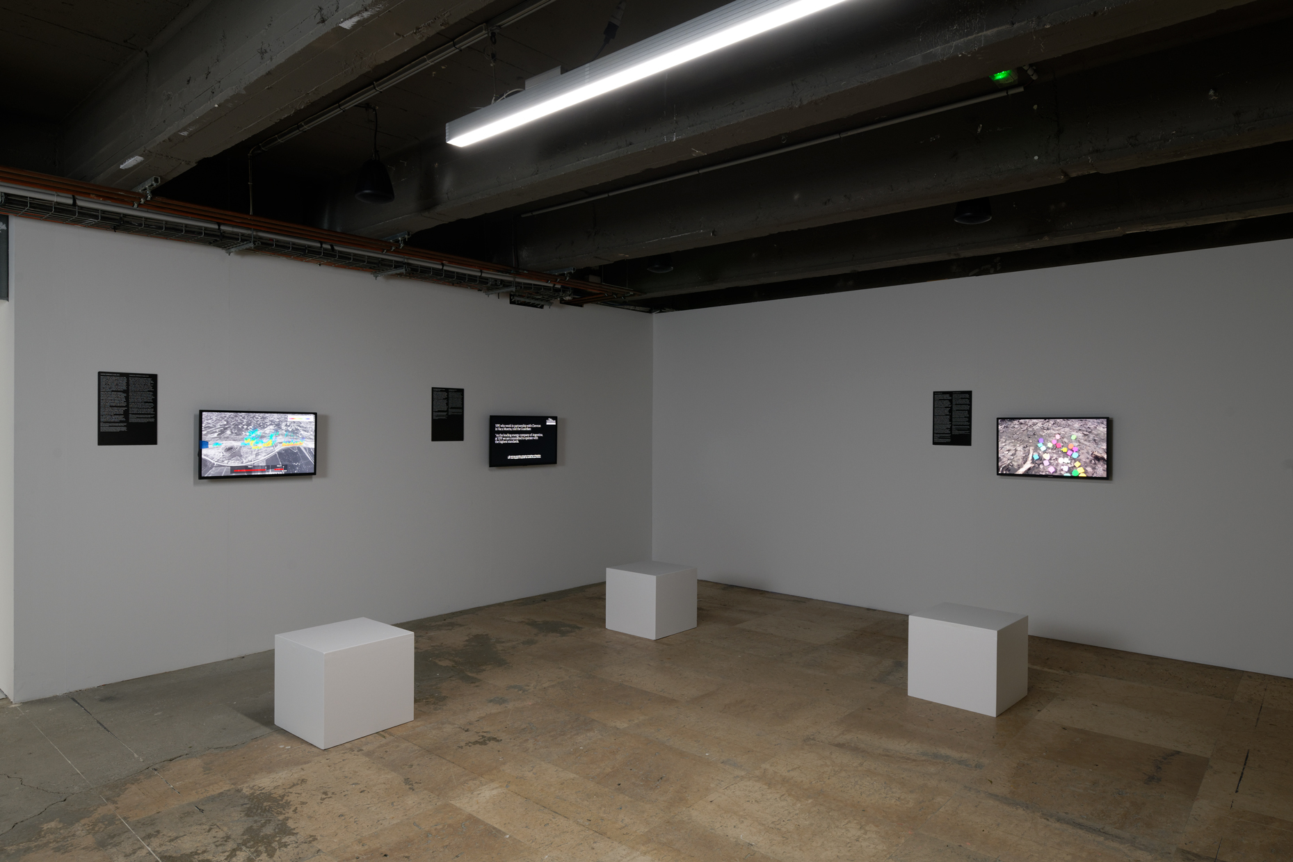 pdt-2020-anticorps-067