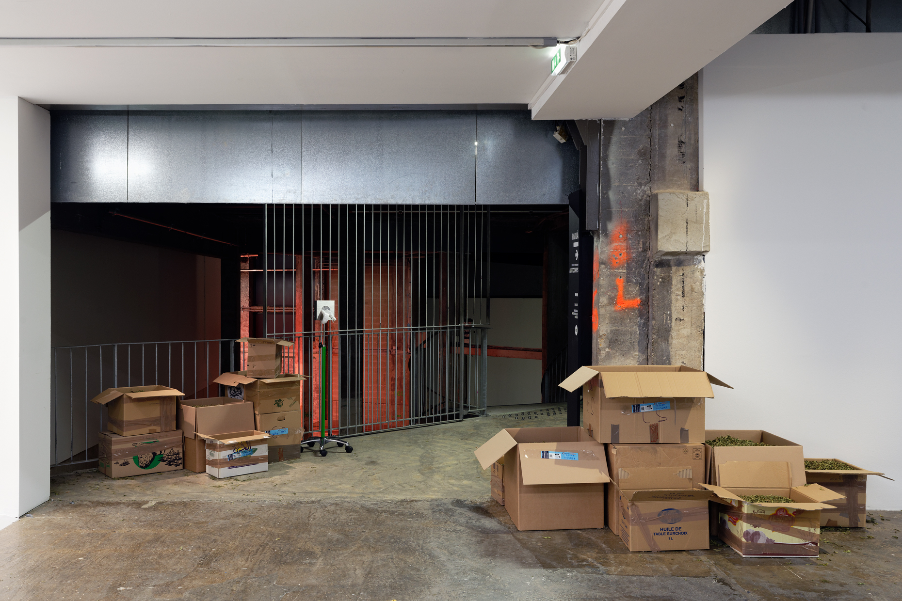 pdt-2020-anticorps-078