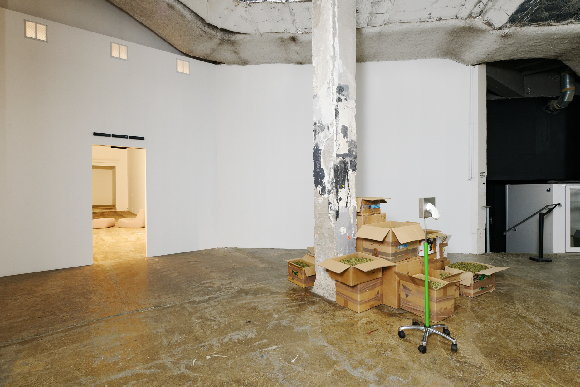 pdt-2020-anticorps-084