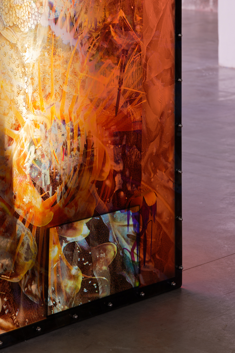 pdt-2020-anticorps-206