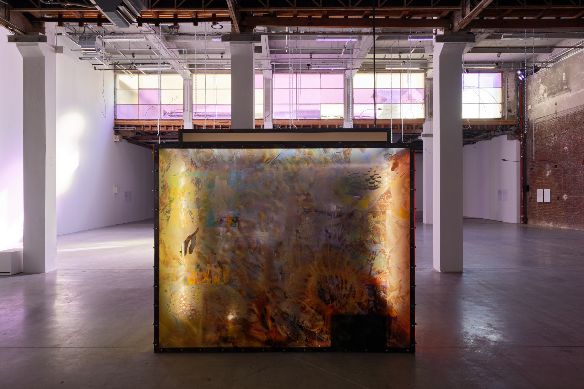 pdt-2020-anticorps-187