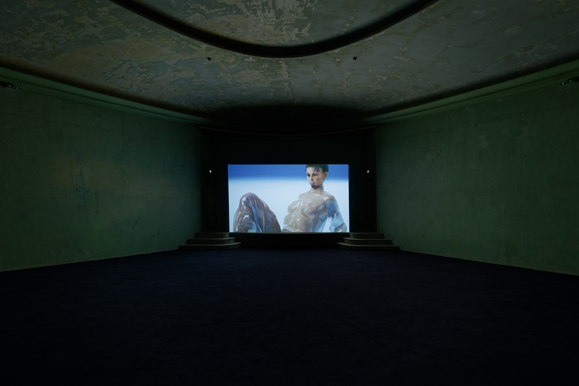 pdt-2020-anticorps-091