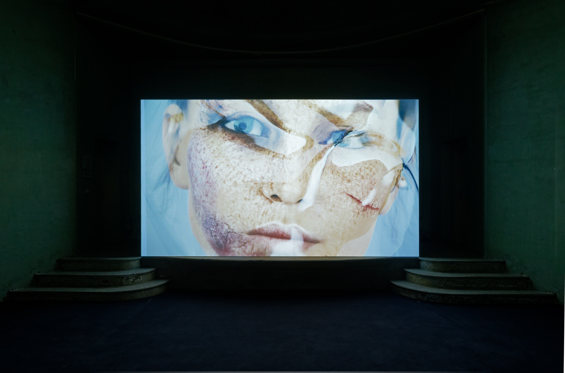 pdt-2020-anticorps-094