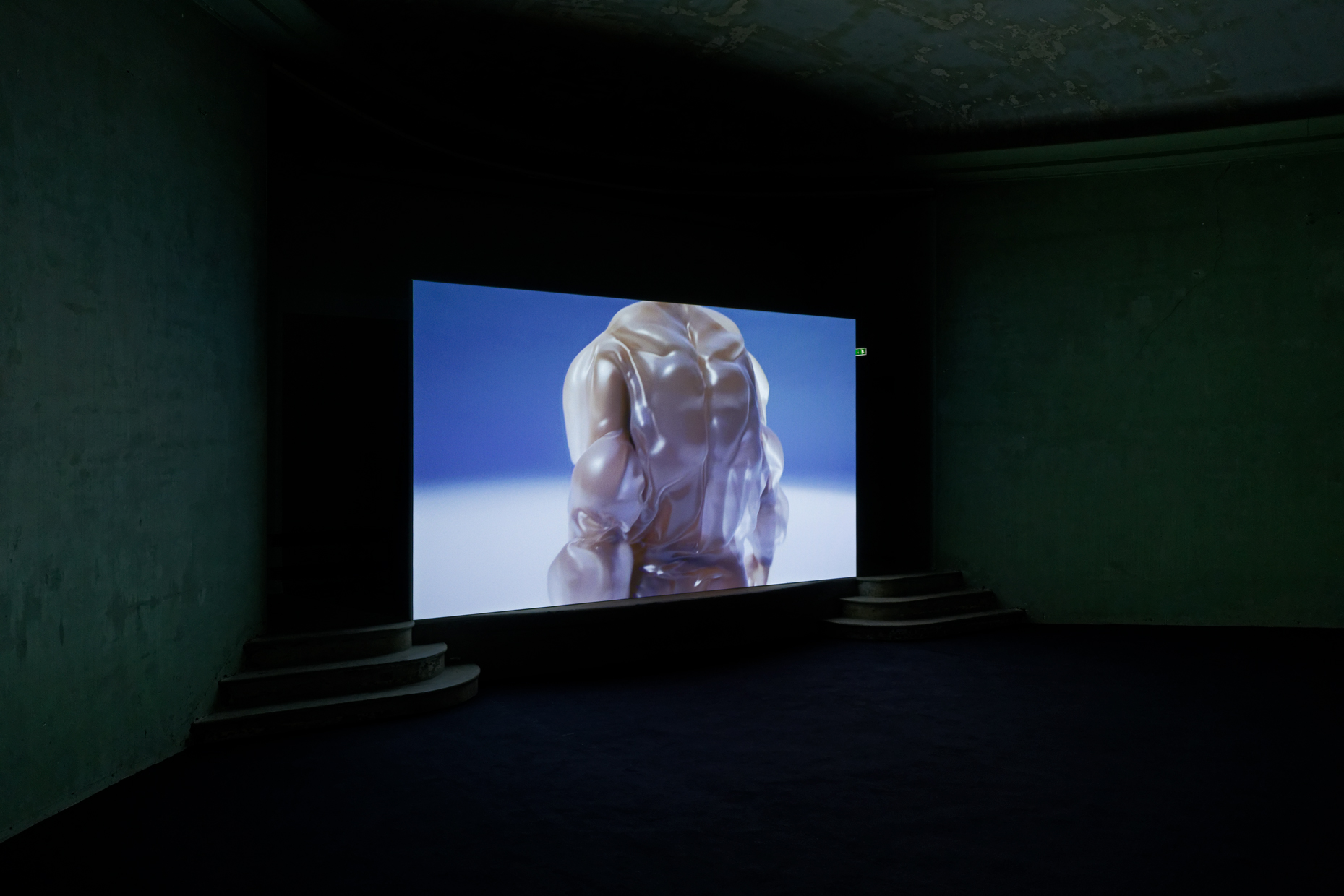 pdt-2020-anticorps-092