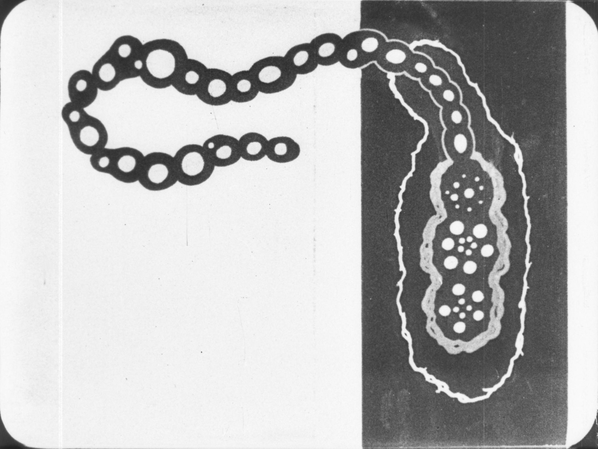 s247690_tusalava_9-nb