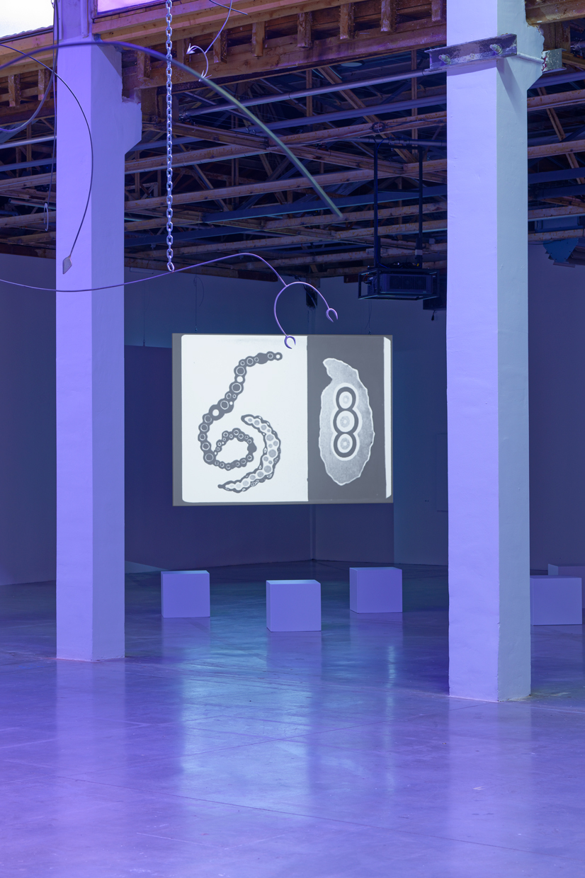 pdt-2020-anticorps-057