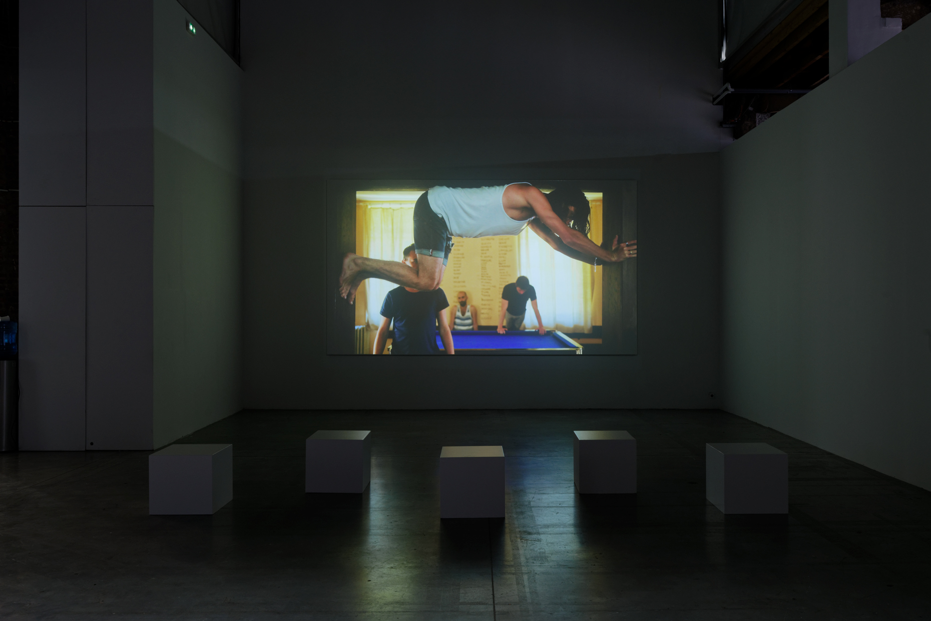 pdt-2020-anticorps-022