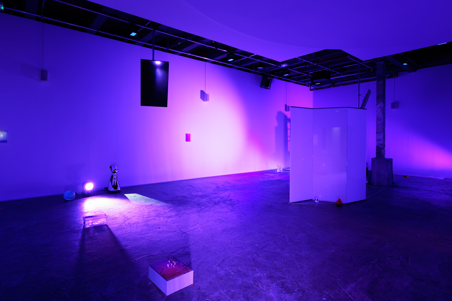 pdt-2020-anticorps-s3-036