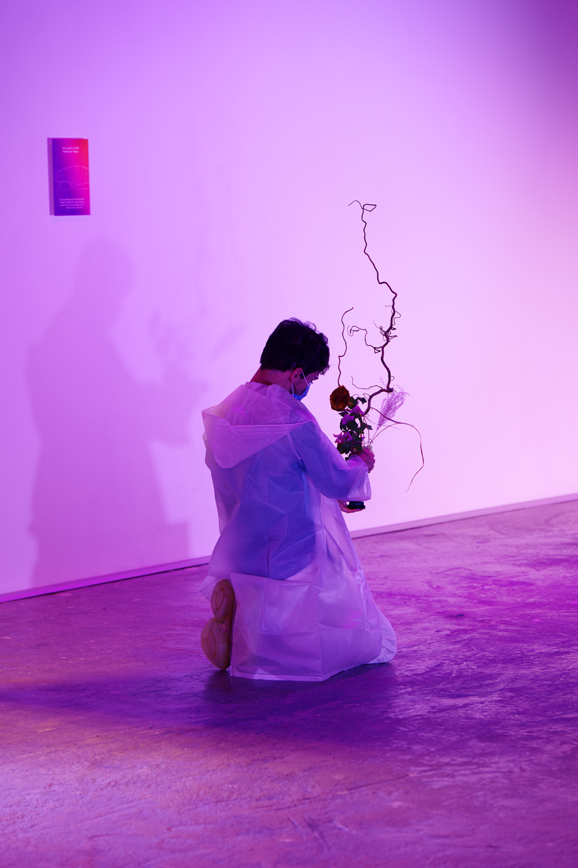 pdt-2020-anticorps-215