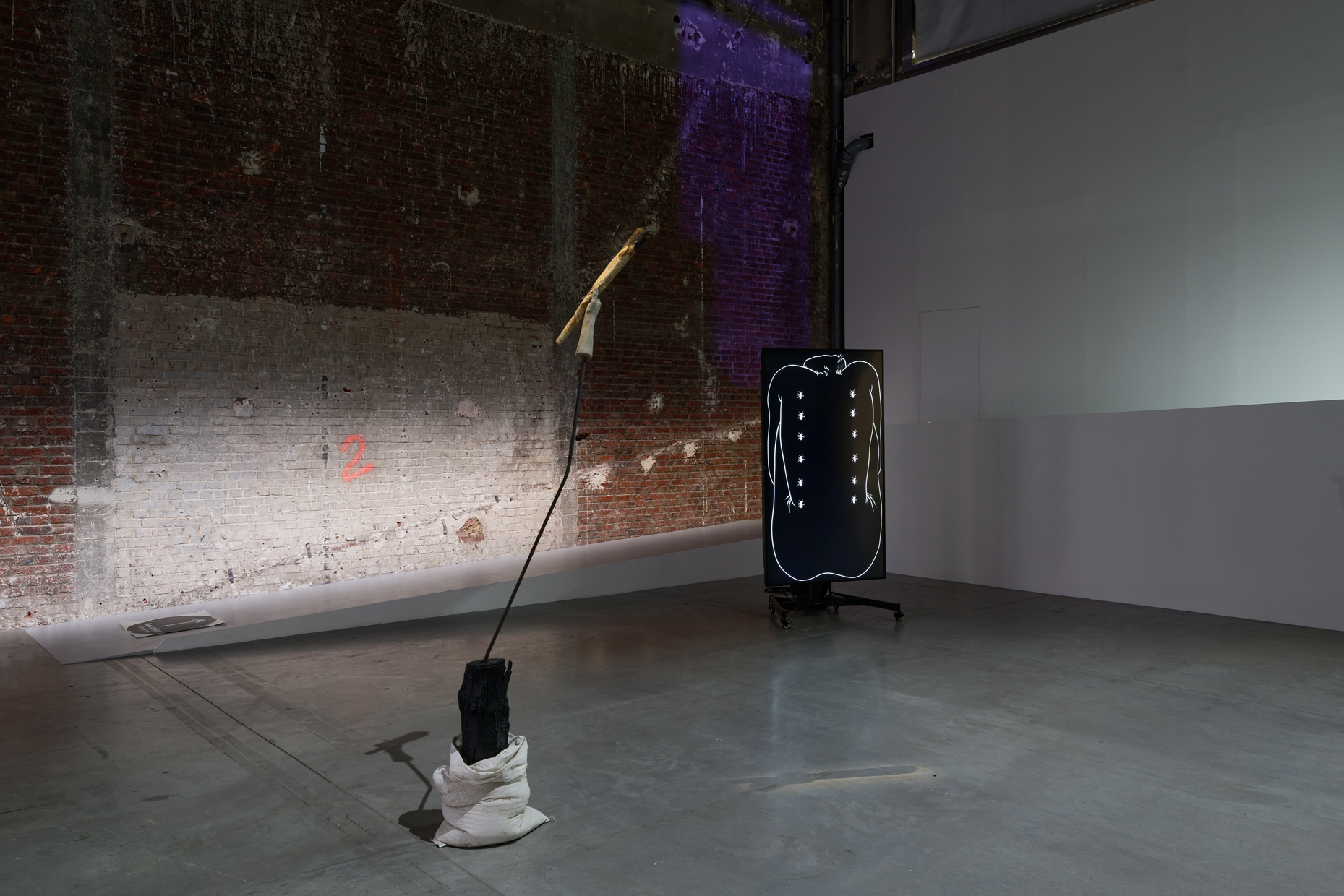 pdt-2020-anticorps-026