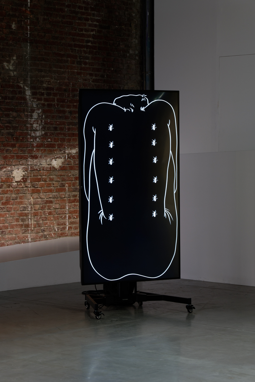 pdt-2020-anticorps-018