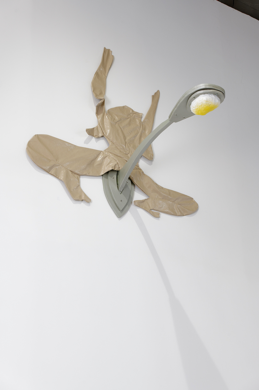 pdt-2020-anticorps-139