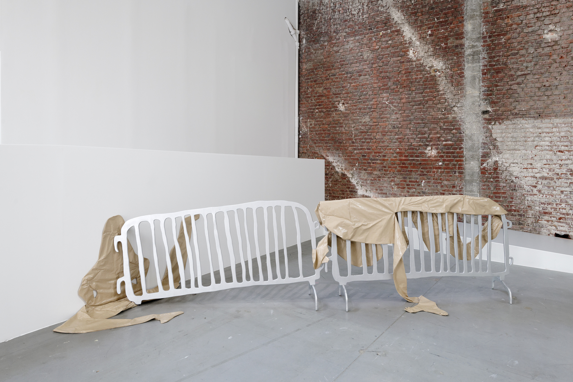 pdt-2020-anticorps-136