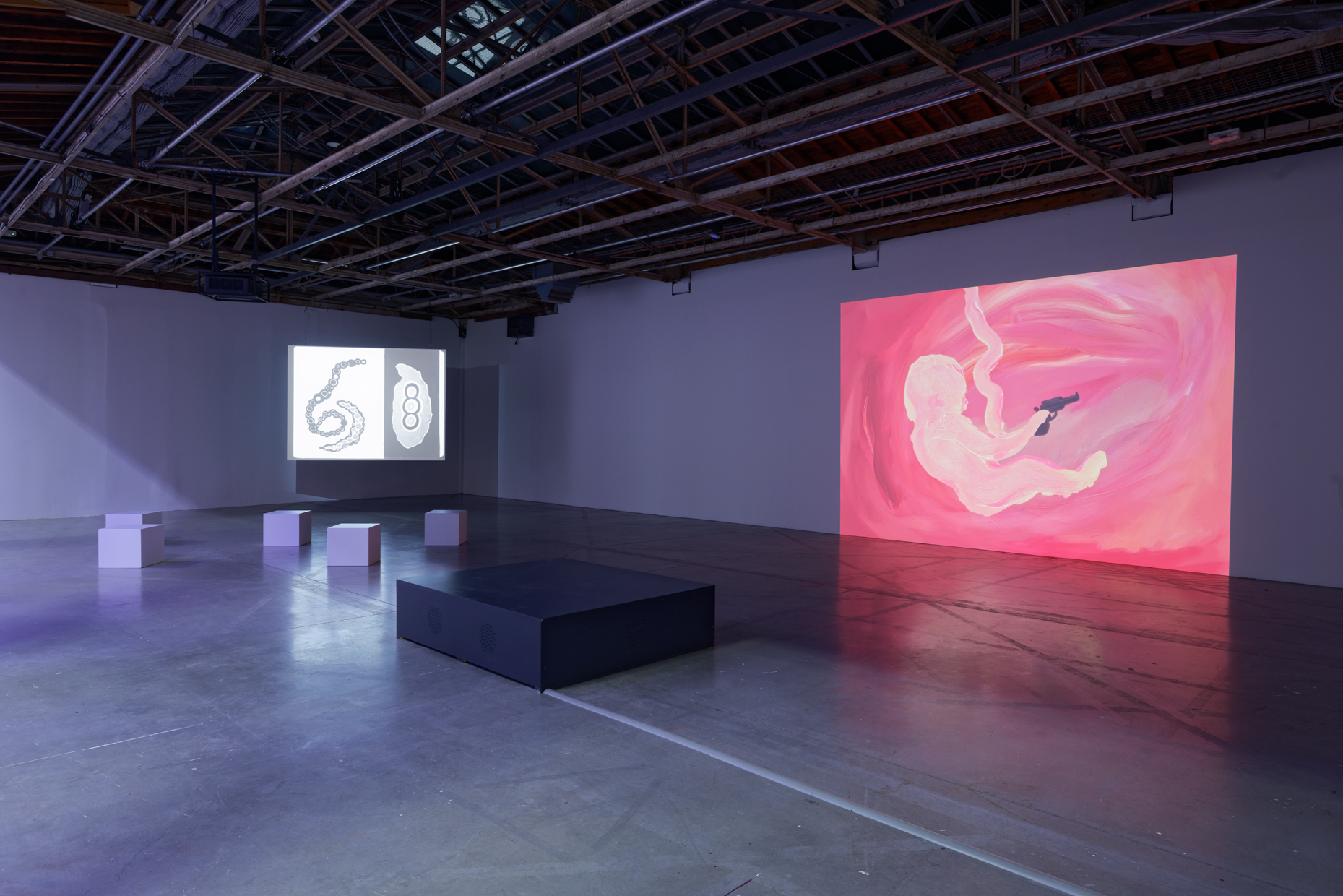 pdt-2020-anticorps-063