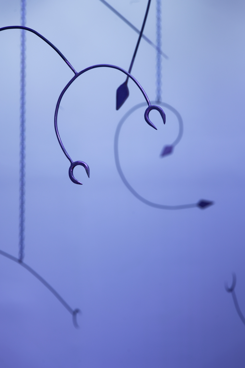 pdt-2020-anticorps-041