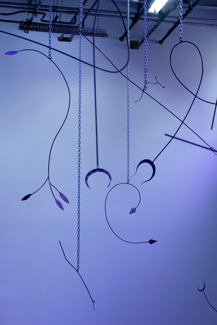 pdt-2020-anticorps-039